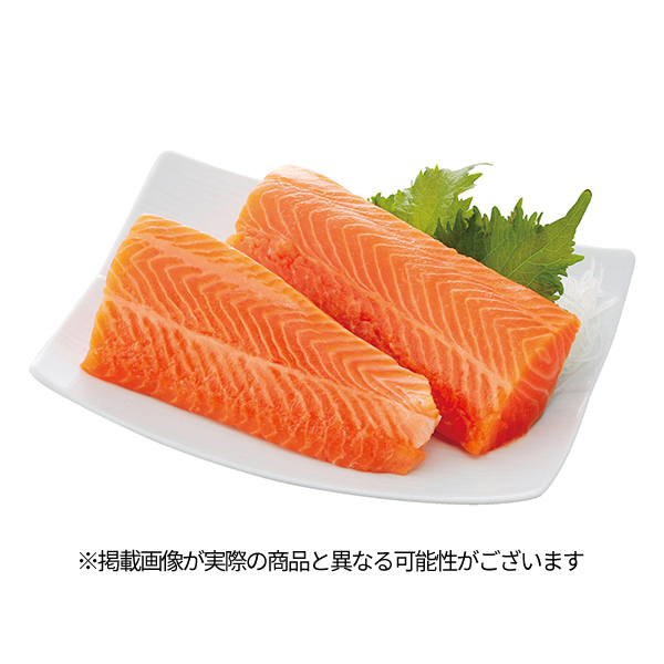 フレッシュフィッシュ 刺身・生食 サーモン|おいしさ五つ星!刺身用極天